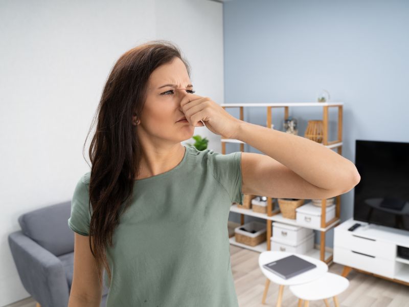 Không khí trong nhà có thể ô nhiễm gấp 5 làn bên ngoài