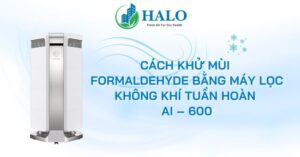 cach-khu-mui-formaldehyde