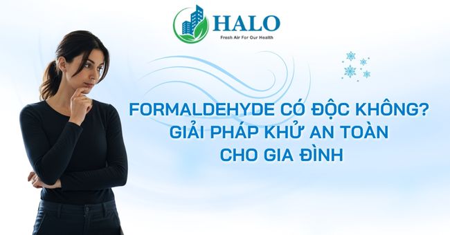 Formaldehyde có độc không? Giải pháp khử an toàn cho gia đình formaldehyde-co-doc-khong