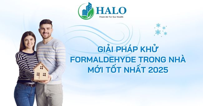 Giải pháp khử formaldehyde trong nhà mới tốt nhất 2025 formaldehyde-trong-nha-moi-