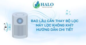bao-lau-can-thay-bo-loc