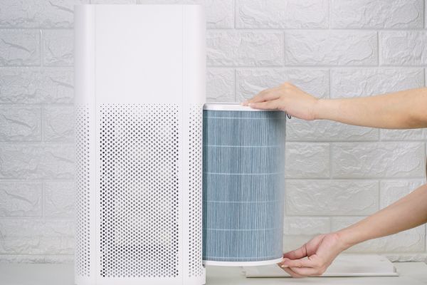Bao lâu cần thay bộ lọc máy lọc không khí? Hướng dẫn chi tiết bao-lau-can-thay-bo-loc-2