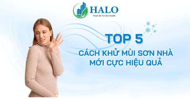 Top 5 cách khử mùi sơn nhà mới cực hiệu quả cach-khu-mui-son