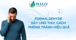 formaldehyde-gay-ung-thu
