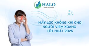 may-loc-khong-khi-cho-nguoi-viem-xoang