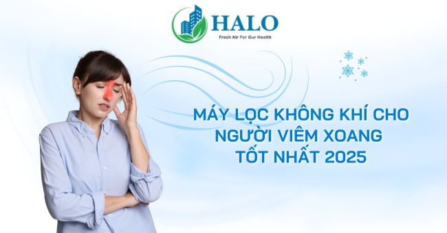 Máy lọc không khí cho người viêm xoang tốt nhất 2025 may-loc-khong-khi-cho-nguoi-viem-xoang
