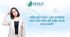 nen-bat-may-loc-khong-khi-luc-nao