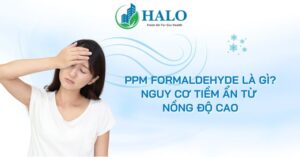 ppm-formaldehyde-la-gi-8