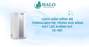 cach-giam-nong-do-formaldehyde-trong-nha
