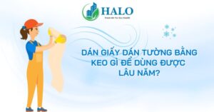 dan-giay-dan-tuong-bang-keo-gi