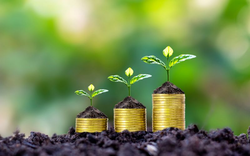 Top 10 quà về nhà mới được yêu thích nhất hiện nay qua-ve-nha-moi-6
