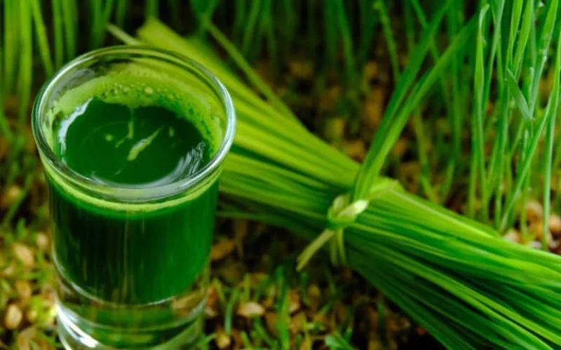 Bị viêm phổi nên uống nước gì? 7 loại nước dễ làm tại nhà bi-viem-phoi-nen-uong-nuoc-gi-4