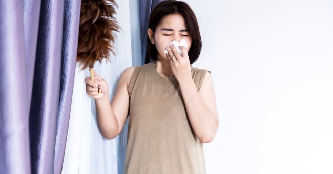 Cách diệt con mạt bụi nhà giúp cải thiện không khí cach-diet-con-mat-bui-nha