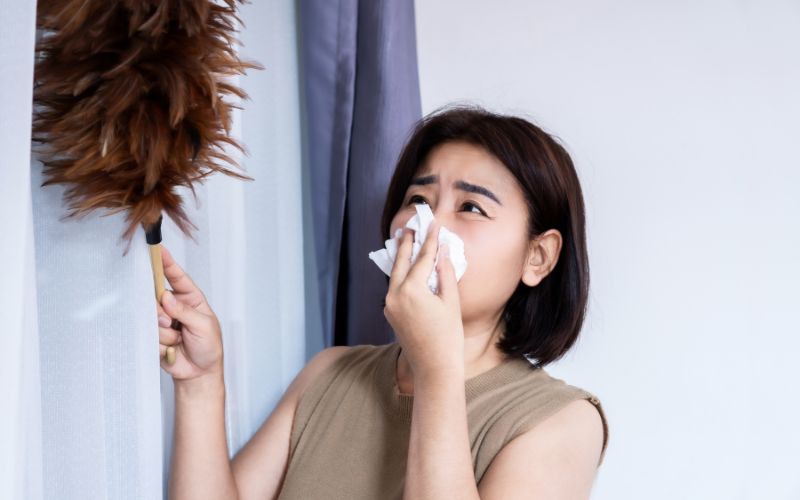 Cách diệt con mạt bụi nhà giúp cải thiện không khí cach-diet-con-mat-bui-nha-1
