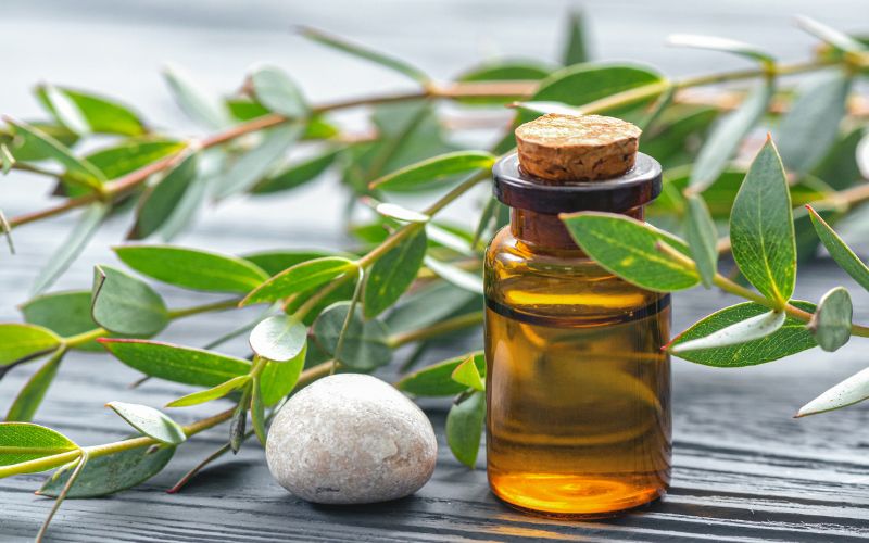 Cách diệt con mạt bụi nhà giúp cải thiện không khí cach-diet-con-mat-bui-nha-4