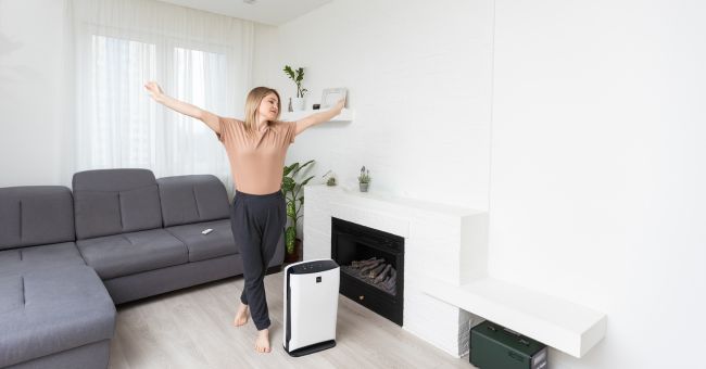 Máy lọc không khí dùng mùa nào hiệu quả nhất? may-loc-khong-khi-dung-mua-nao