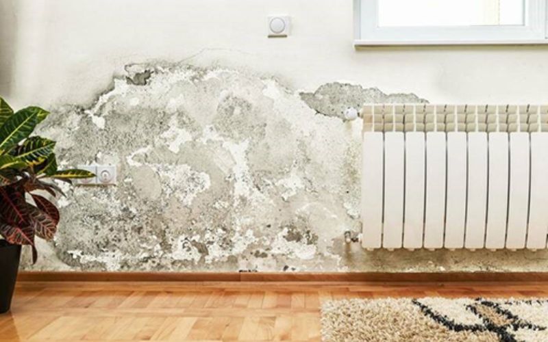 5 tác hại của giấy dán tường khiến nhà bạn nhanh xuống cấp tac-hai-cua-giay-dan-tuong