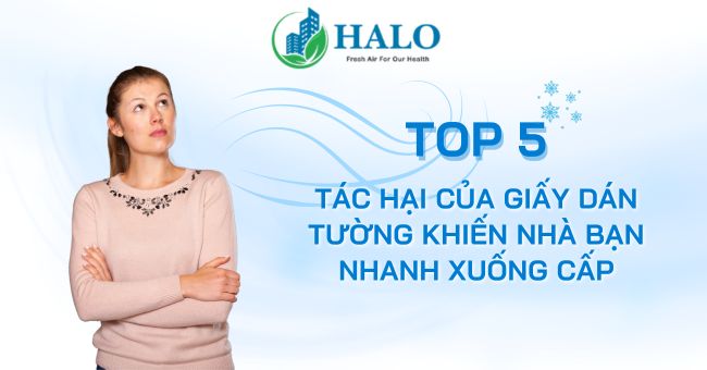 5 tác hại của giấy dán tường khiến nhà bạn nhanh xuống cấp tac-hai-cua-giay-dan-tuong
