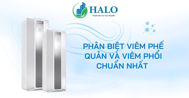 Viêm phế quản và viêm phổi khác nhau thế nào? viem-phe-quan-va-viem-phoi
