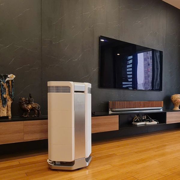 Tác hại của lông mèo và giải pháp từ máy lọc không khí hiện đại Máy lọc không khí AI-600 giúp giảm tác hại của lông mèo