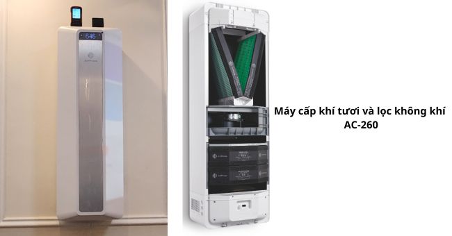 Viêm da cơ địa chữa được không? Giải pháp cải thiện an toàn ngay tại nhà Máy cấp khí tươi và lọc không khí AC-260