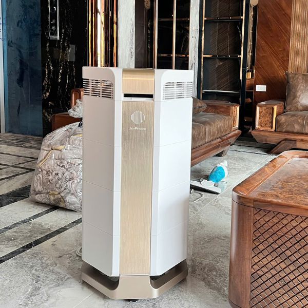 Tác hại của lông mèo và giải pháp từ máy lọc không khí hiện đại AI-700