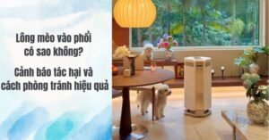 Xử lý lông mèo trong nhà với AI-600