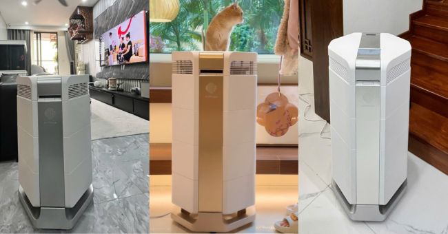 Tác hại của lông mèo và giải pháp từ máy lọc không khí hiện đại 3 dòng máy lọc không khí tuần hoàn