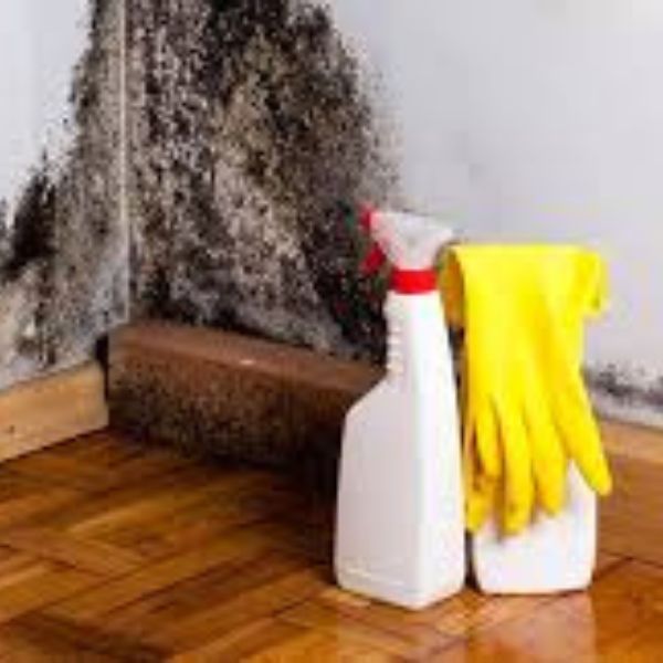 phòng ngủ bị ẩm mốc