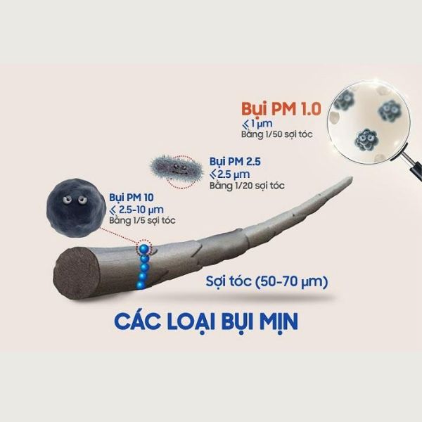 Bụi mịn PM1.0