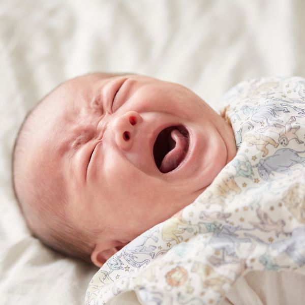trẻ quấy khóc do viêm mũi dị ứng