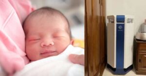 cách tạo độ ẩm trong phòng