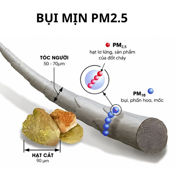 bụi mịn pm2.5