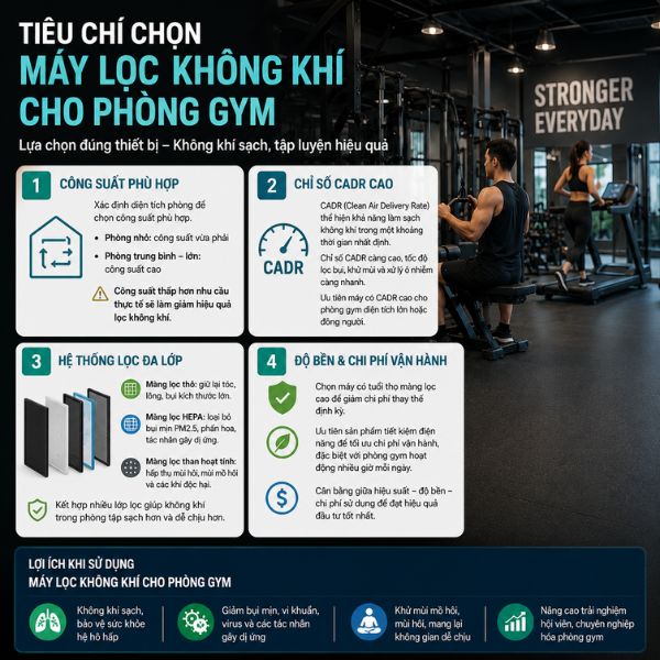 Máy lọc không khí cho phòng Gym: Giải pháp không gian tập luyện trong lành chọn máy lọc không khí
